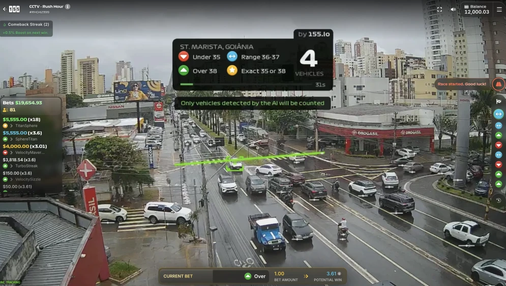 Traffic Camera Game